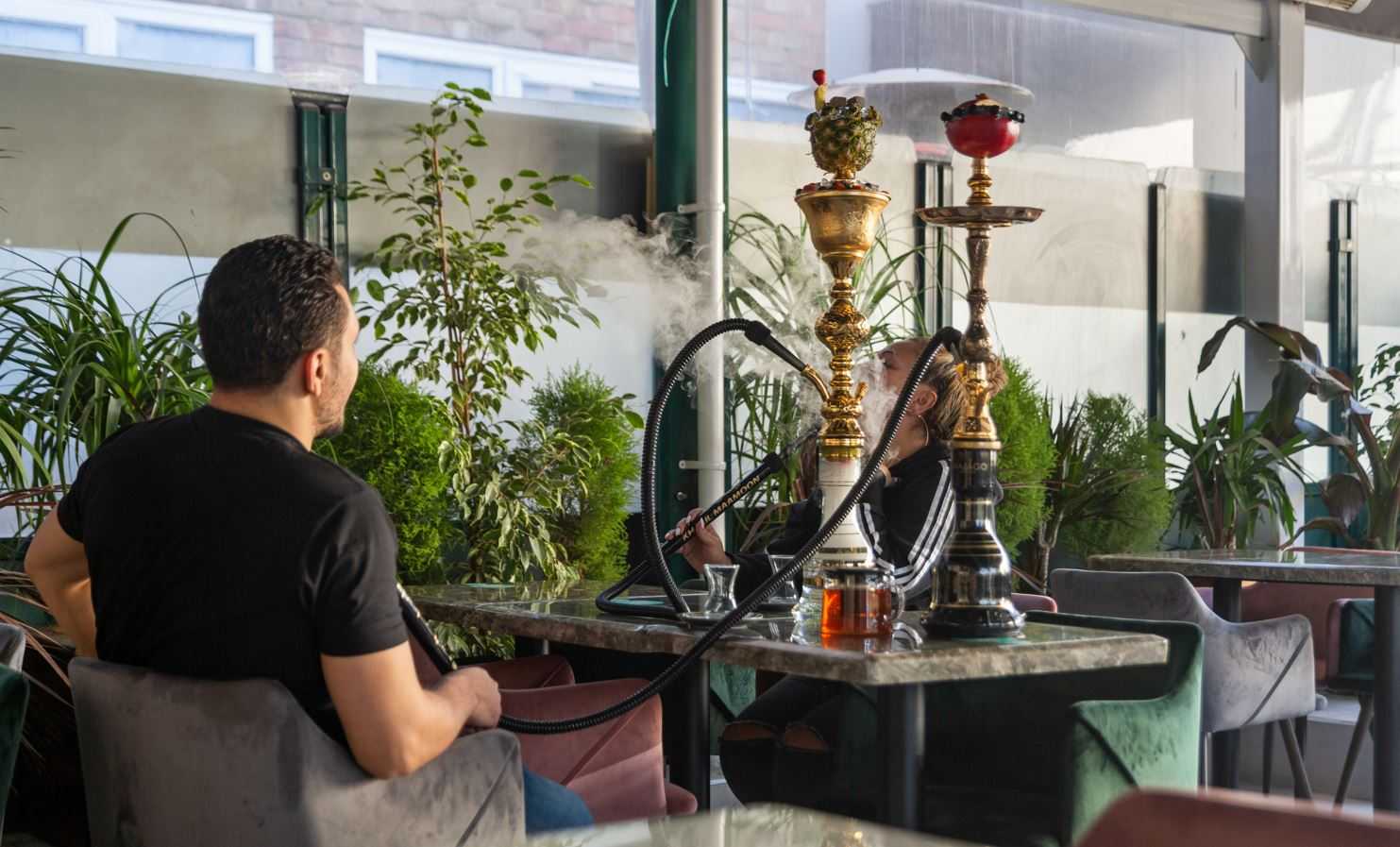 narghilè shisha: scelta della melassa in commercio