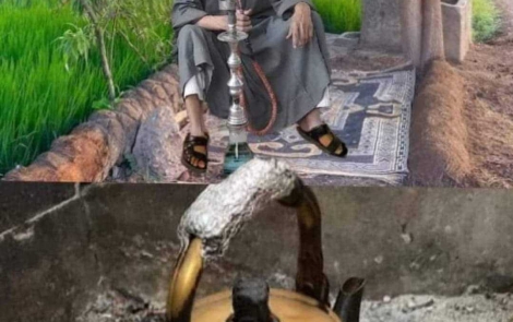 Cosa c'è dentro la melassa per la shisha 