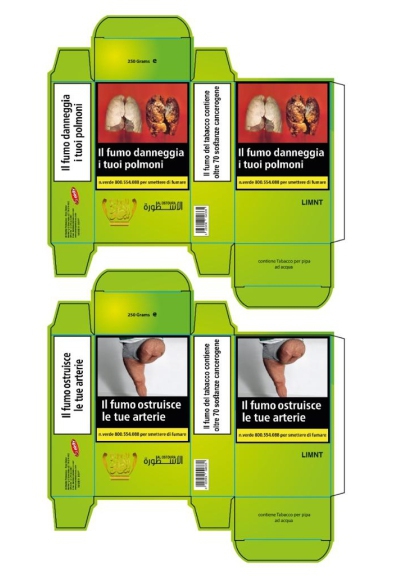 Al Oustura melassa shisha limone-menta 